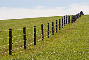 Fence Perspective