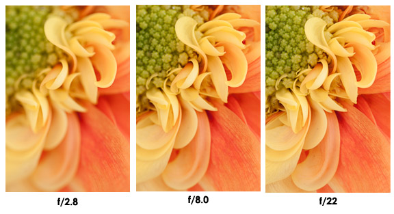 Lesson 2: Depth of Field - Ultimate Photo Tips