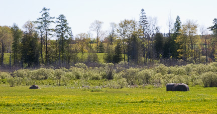 landscape shot during golden hour